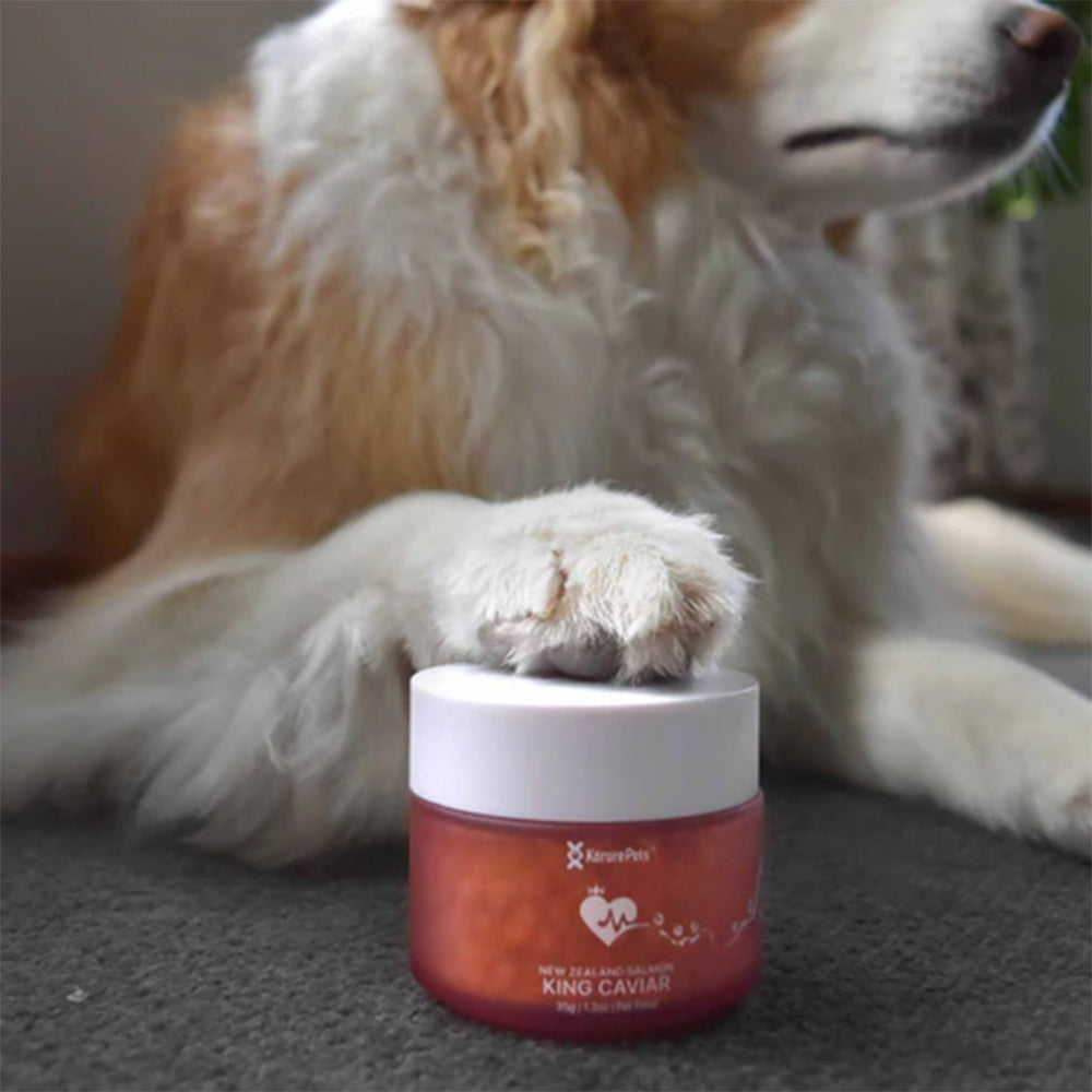 KORURE PETS NZ King Salmon Caviar Cardiovascular Health For Dogs 30g