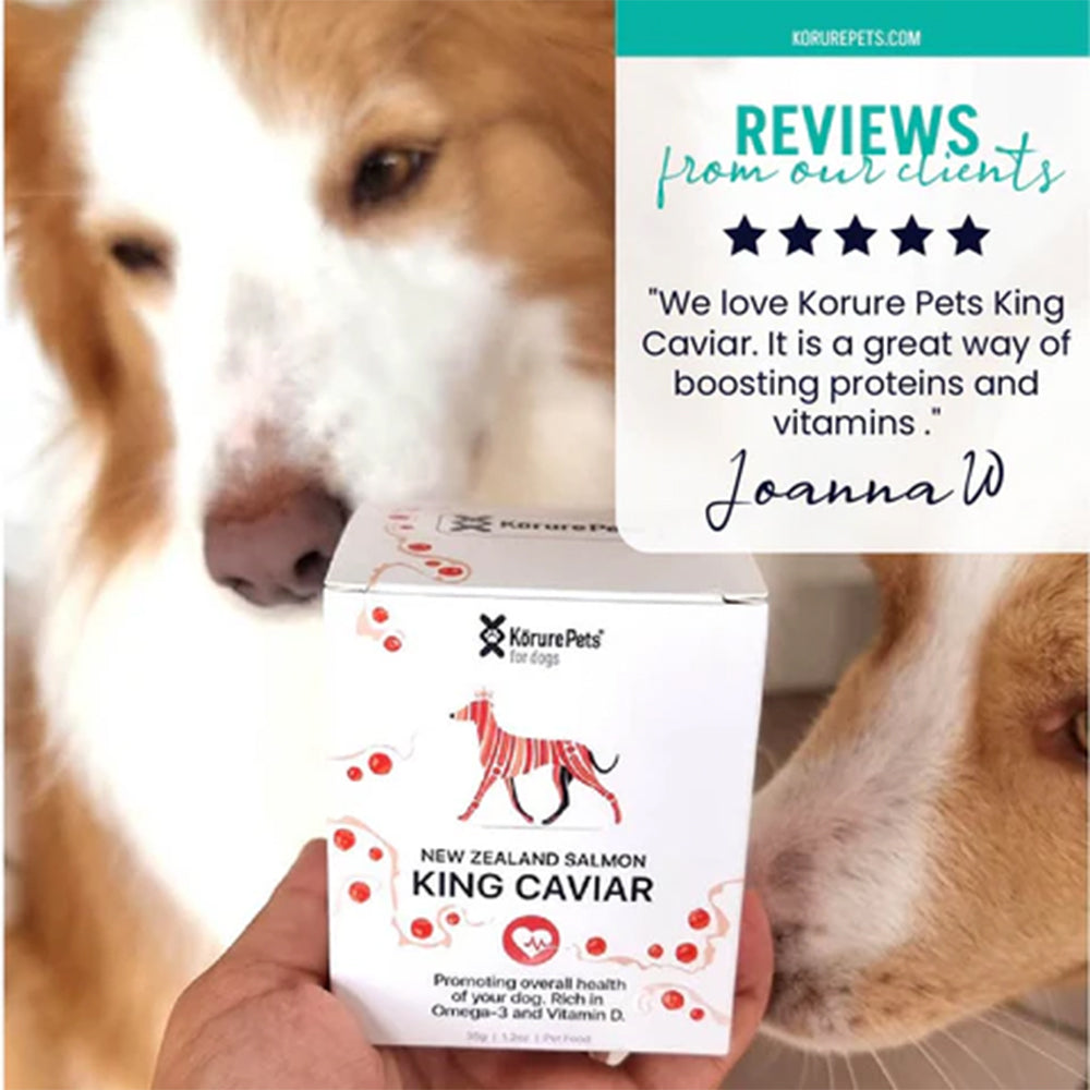 KORURE PETS NZ King Salmon Caviar Cardiovascular Health For Dogs 30g