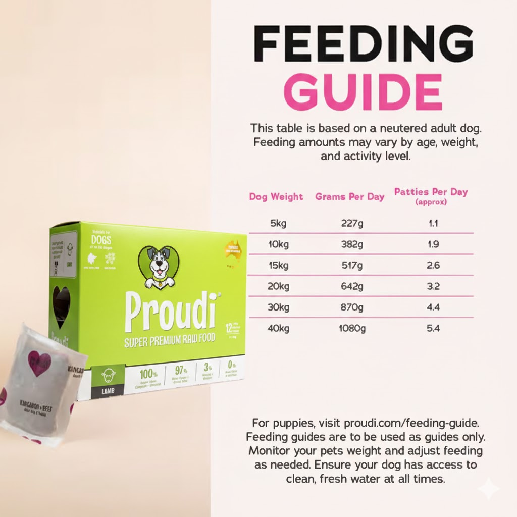 PROUDI Premium Frozen Lamb Raw Dog Food 2.4kg