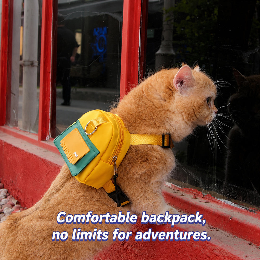 Pet Backpack Carrier with Harness & Leash Set | Escape Proof | Cats & Dogs