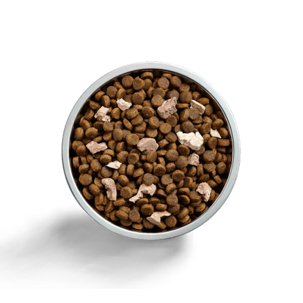 IVORY COAT Raw Health Gut Health Dog Food 1.8kg