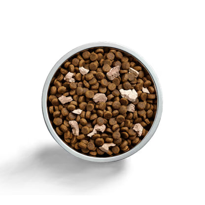 IVORY COAT Raw Health Gut Health Dog Food 1.8kg