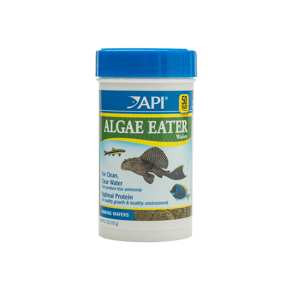 API Algae Eater Fish Wafers — product image 2
