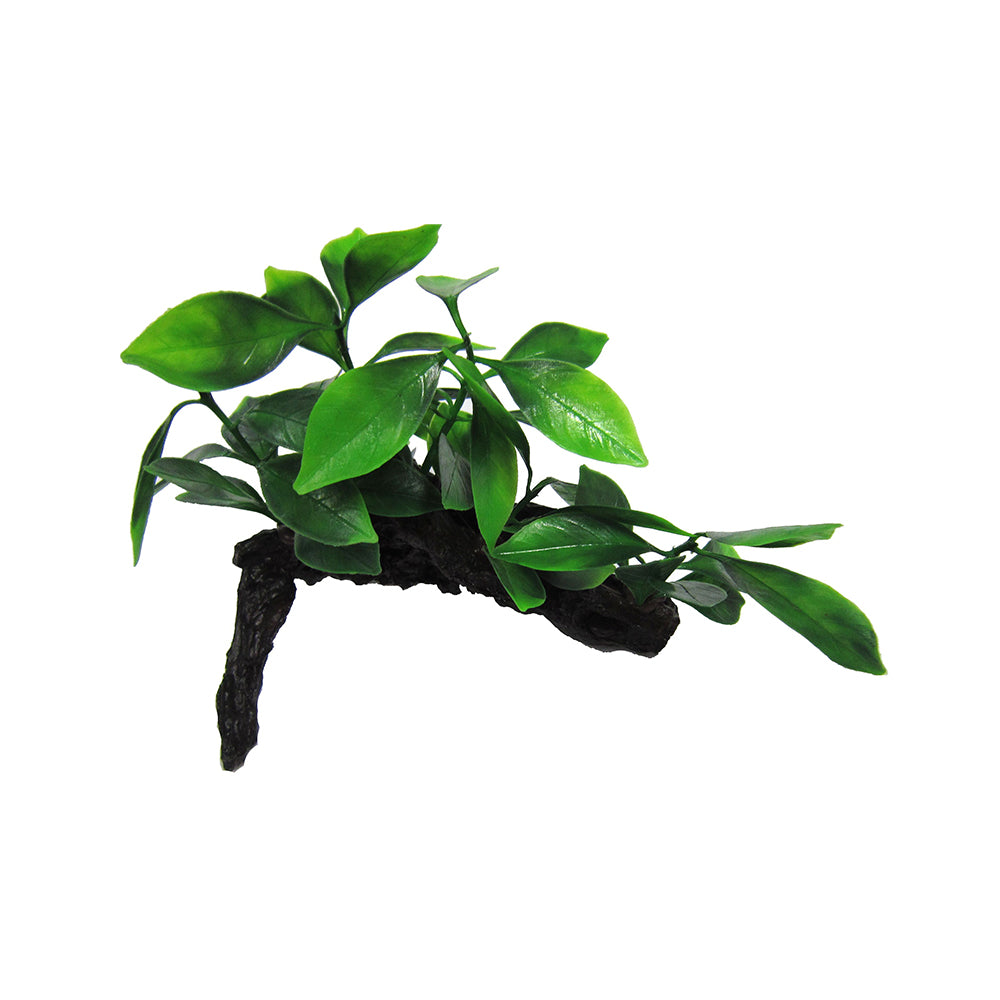 Aphilia on Log Artificial Aquarium Plant 16cm — product image 1
