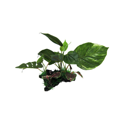 Giant Monstera on Log Artificial Aquarium Plant 25cm/15cm — product image 1