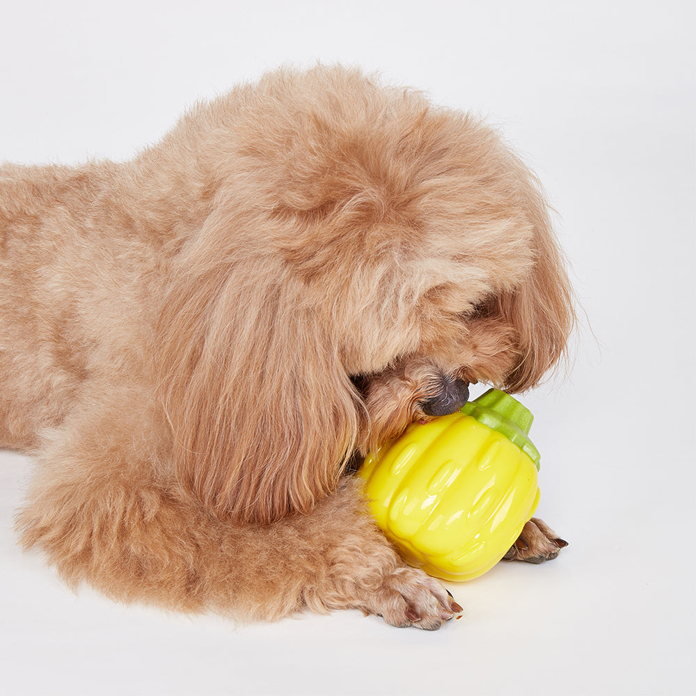 FOFOS Giggling Vegi-Bites Dog Toy - Pumpkin
