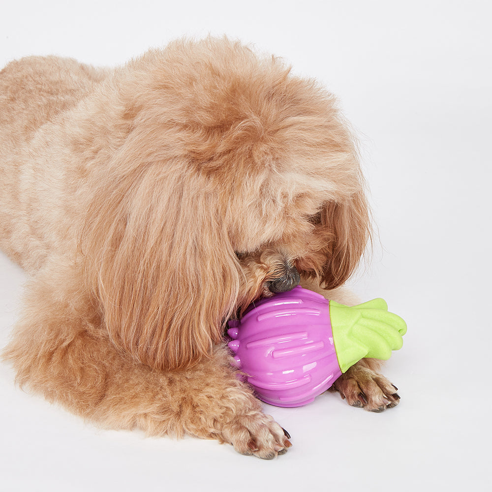 FOFOS Giggling Vegi-Bites Dog Toy - Onion