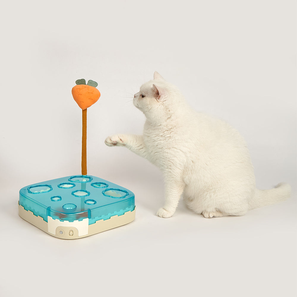 FOFOS Carrot Wand Interactive Ball Box Cat Toy