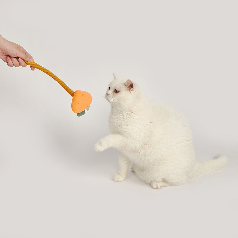 FOFOS Carrot Wand Interactive Ball Box Cat Toy