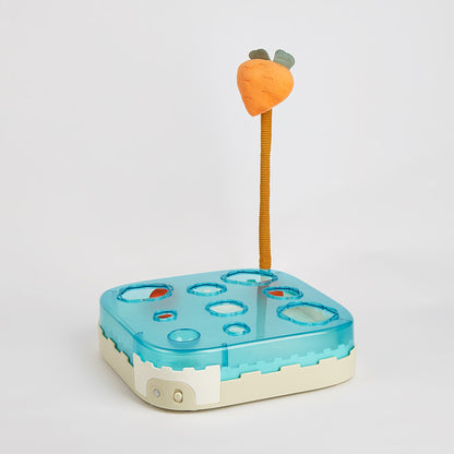 FOFOS Carrot Wand Interactive Ball Box Cat Toy