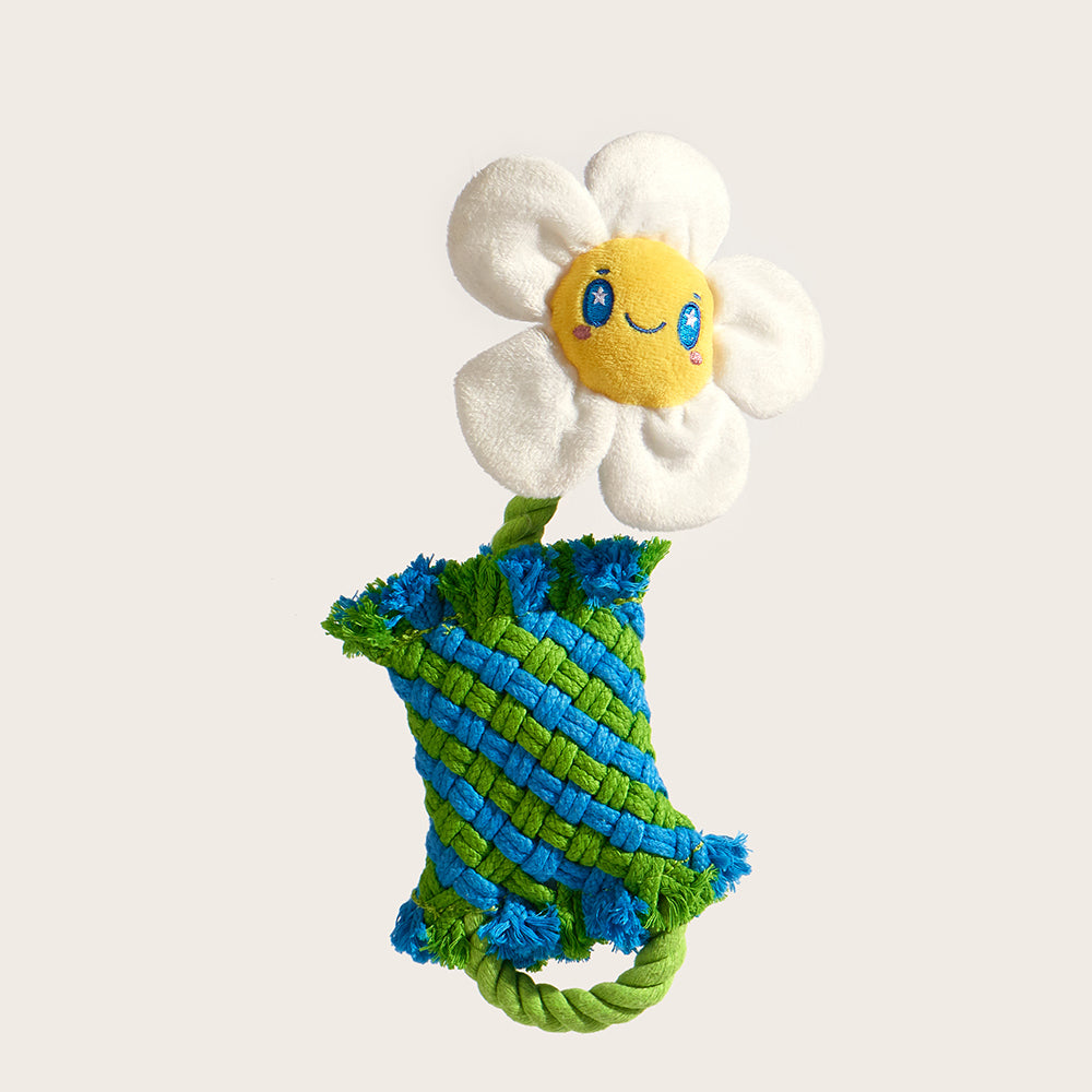 FOFOS Dog Rope Puppy Toy - Flower