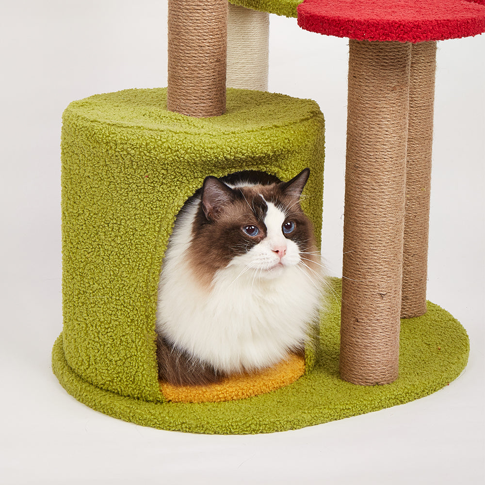 FOFOS Fruity Cat Scratching Tower