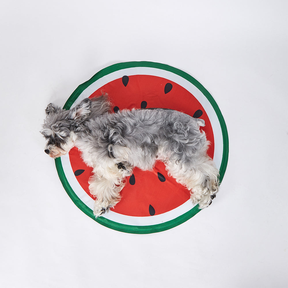 FOFOS Watermelon Cooling Dog Mat - Dia 60cm