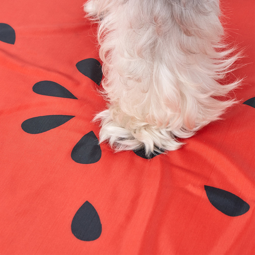 FOFOS Watermelon Cooling Dog Mat - Dia 60cm