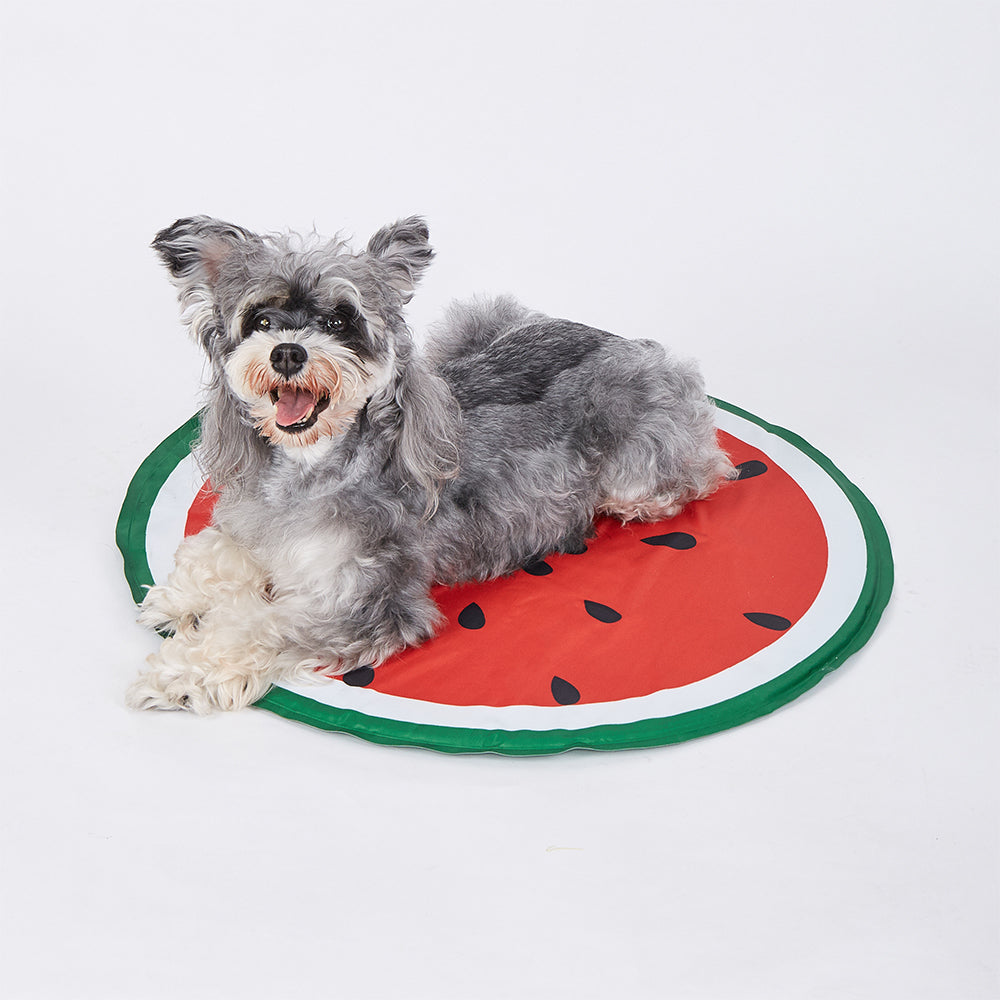 FOFOS Watermelon Cooling Dog Mat - Dia 60cm