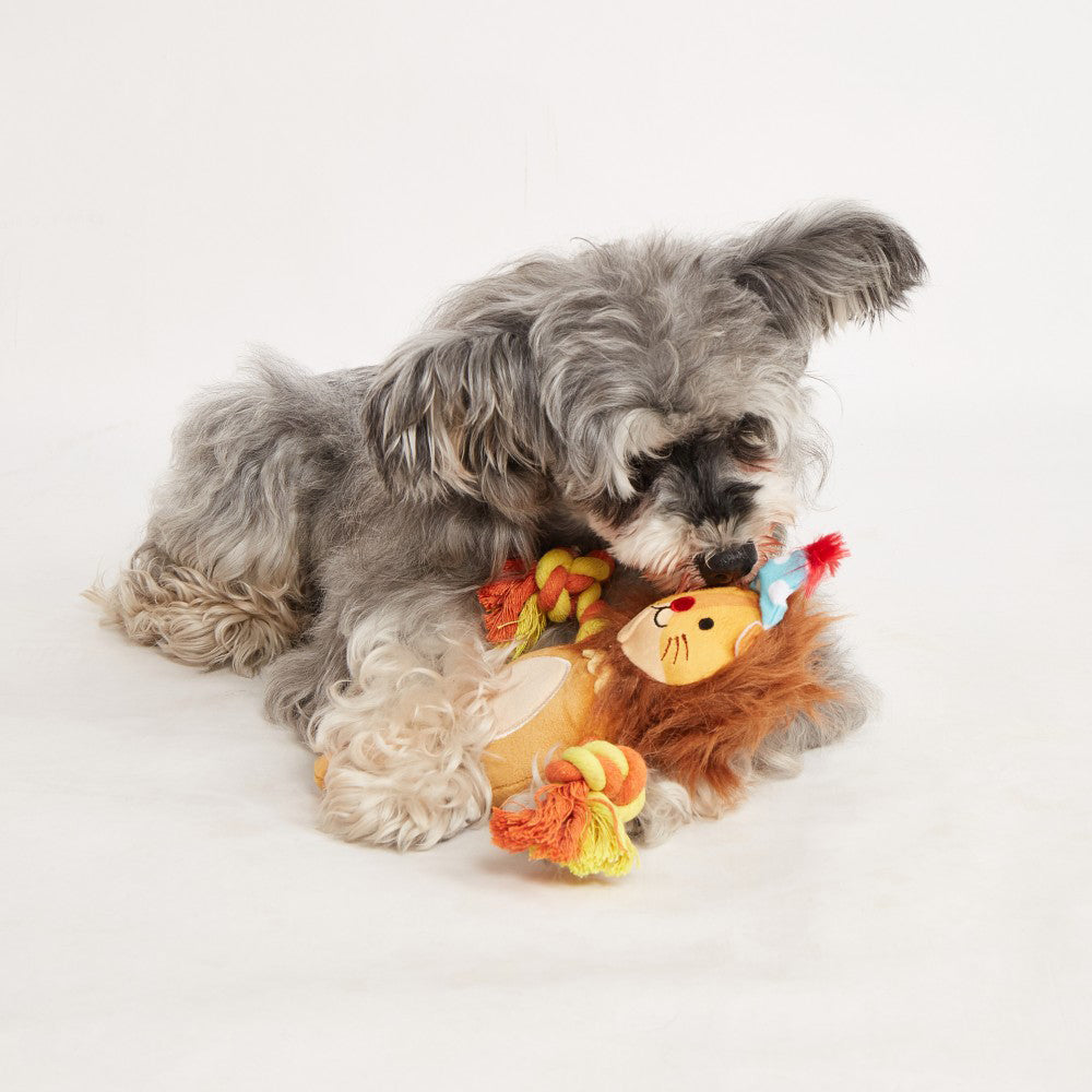 FOFOS Fluffy Lion Puppy Toy