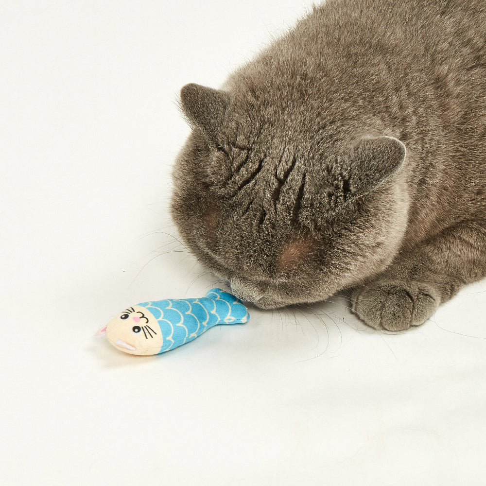 FOFOS Sardine Catnip Cat Toy - 5pcs