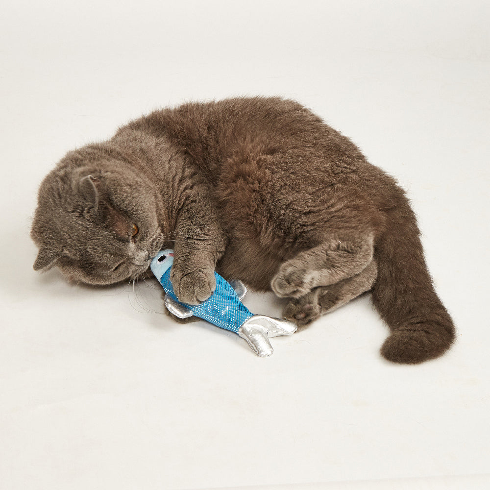 FOFOS Sardine Dancing Fish Cat Toy - USB Charging