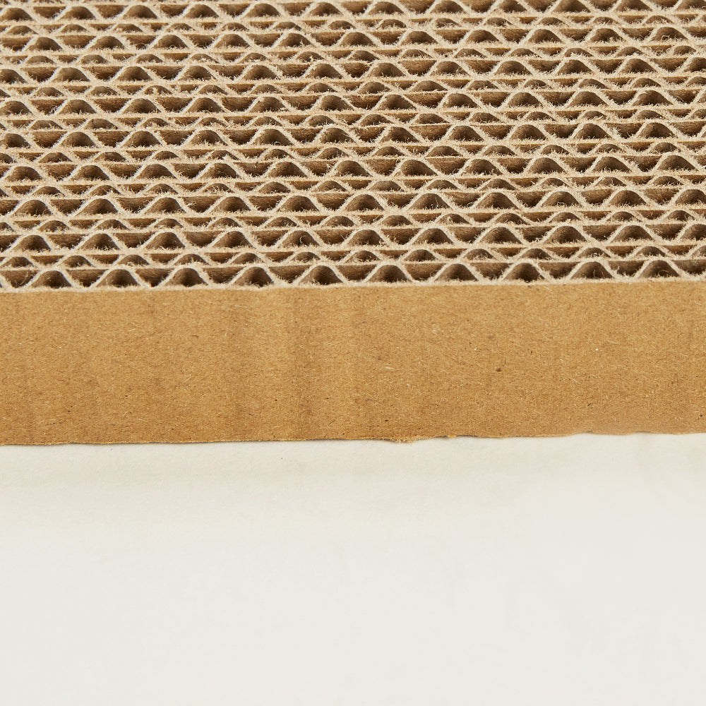 FOFOS Sardine Canned Box Cat Scratcher