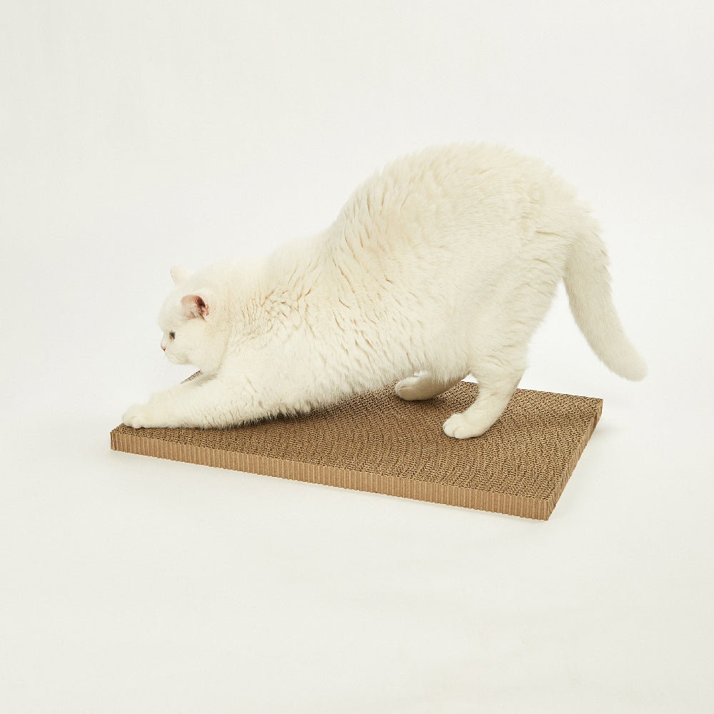 FOFOS Sardine Canned Box Cat Scratcher