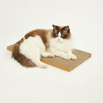 FOFOS Sardine Canned Box Cat Scratcher