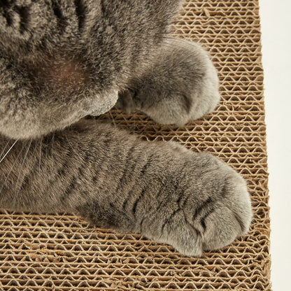 FOFOS Sardine Canned Box Cat Scratcher