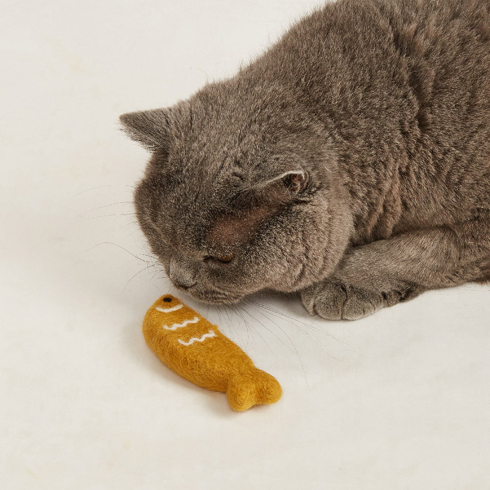 FOFOS Sardine Catnip Cat Toy - 2Balls &1Fish