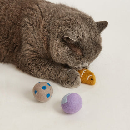 FOFOS Sardine Catnip Cat Toy - 2Balls &1Fish