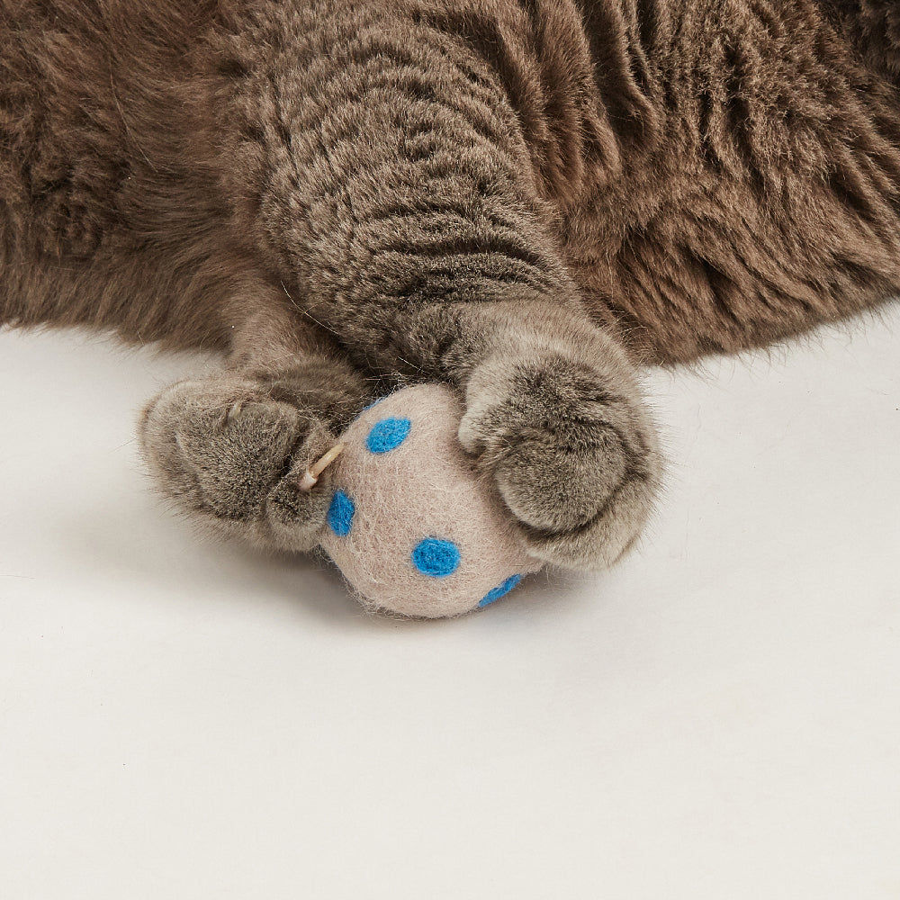 FOFOS Sardine Catnip Cat Toy - 2Balls &1Fish