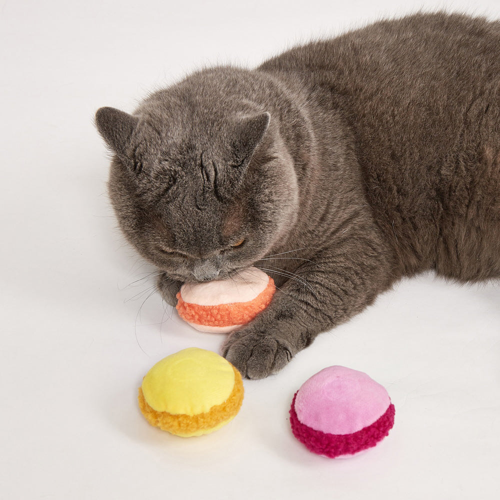FOFOS Macaron Assorted Cat Toy 1pc - Random Color