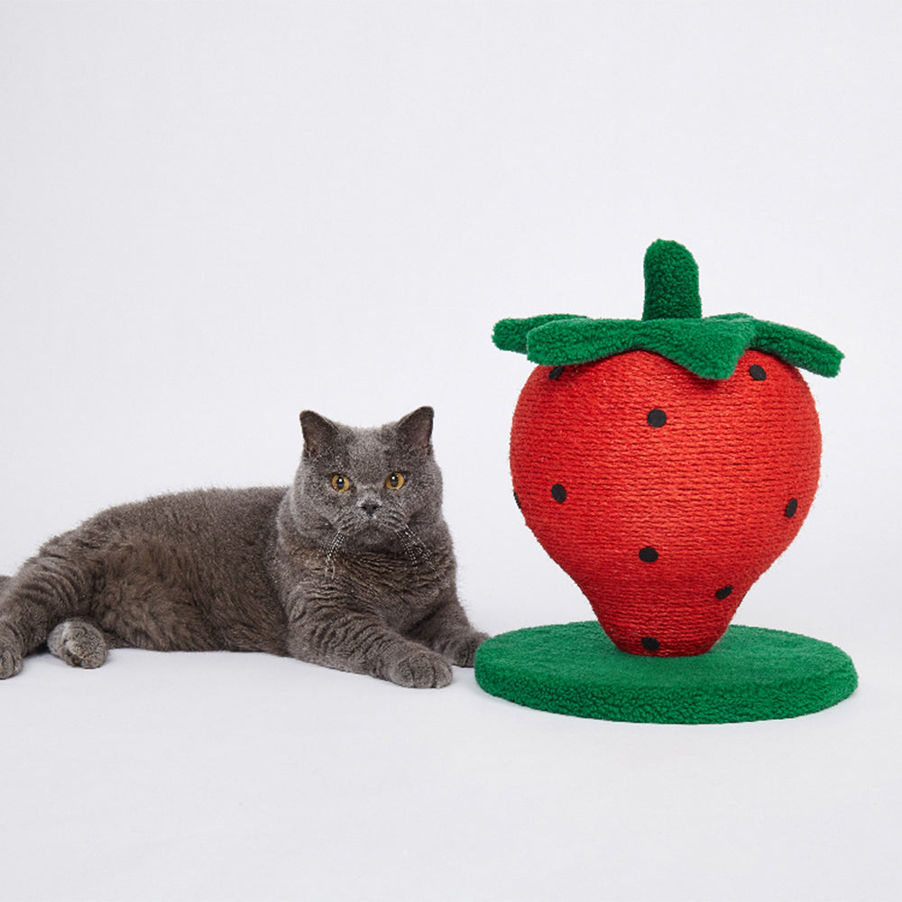 FOFOS Strawberry Cat Scratcher
