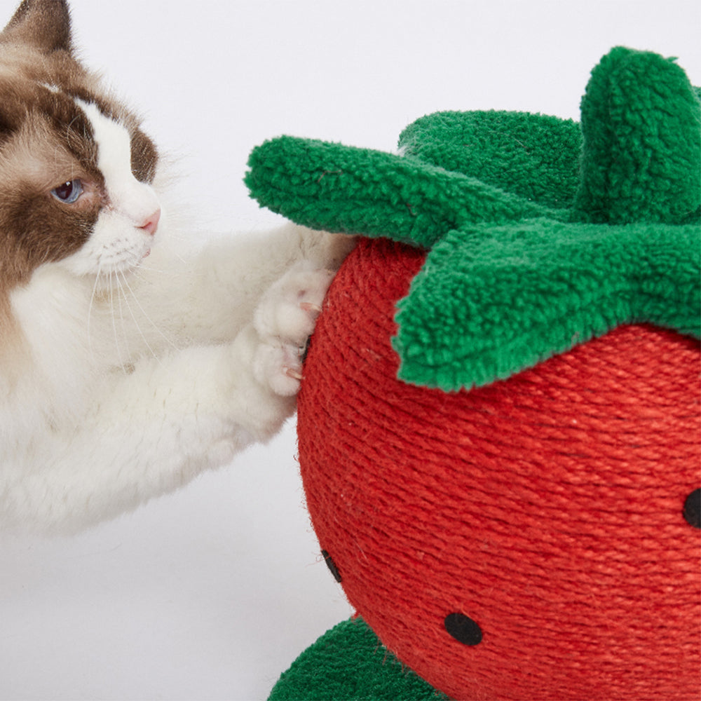 FOFOS Strawberry Cat Scratcher
