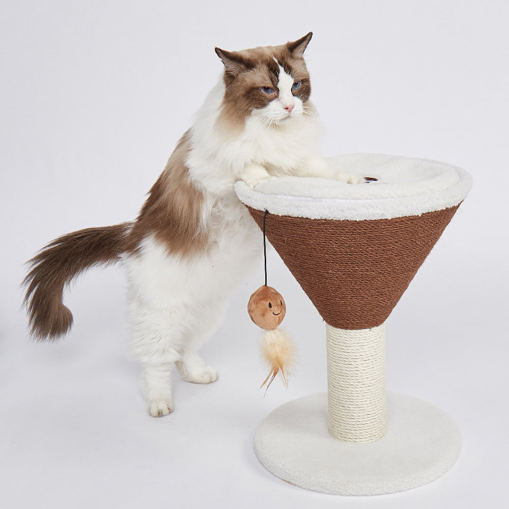 FOFOS Espresso Martini Cat Scratcher