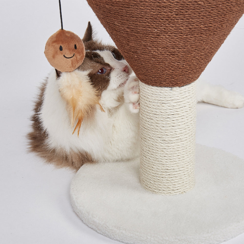 FOFOS Espresso Martini Cat Scratcher