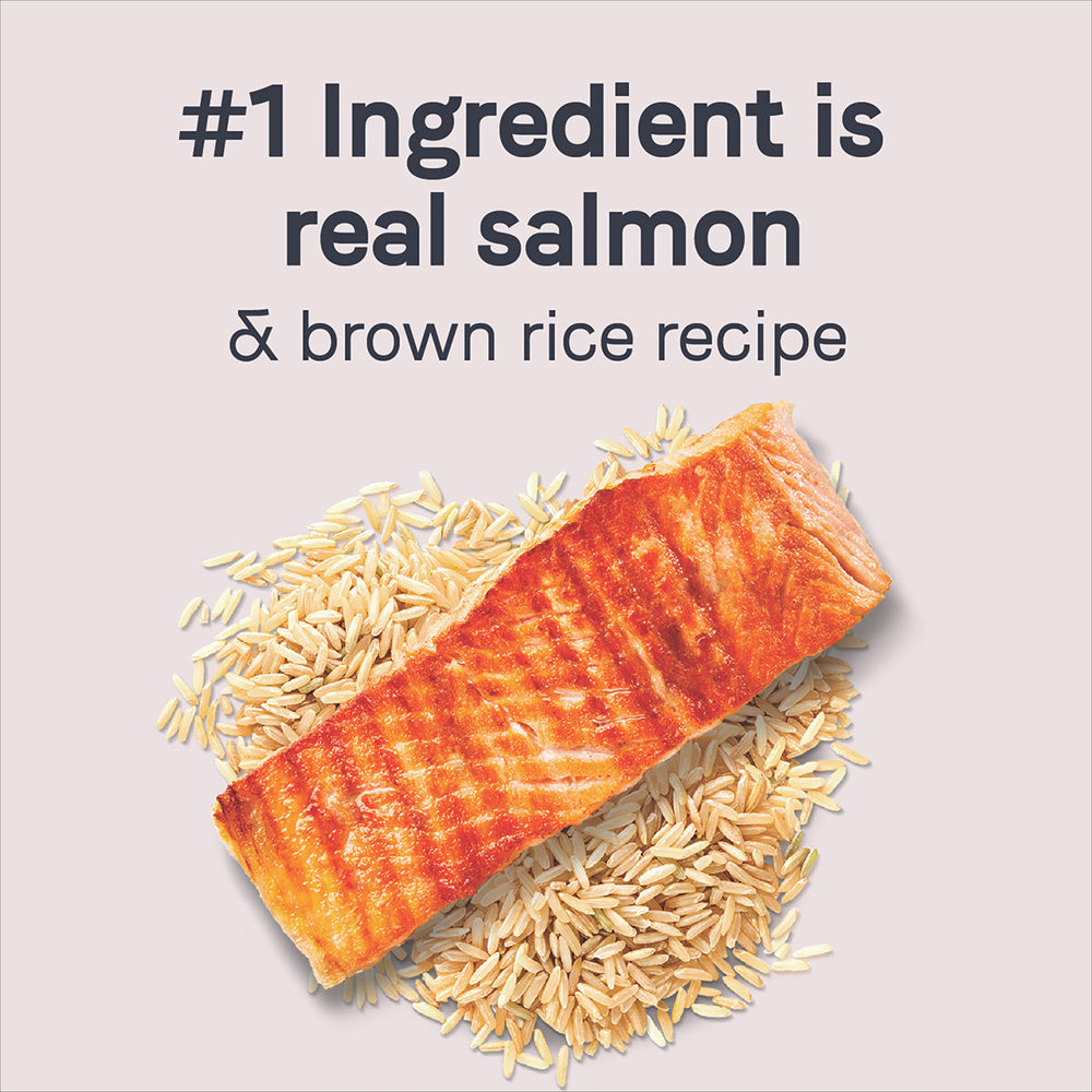 CANIDAE Goodness Real Salmon & Brown Rice Dog Food
