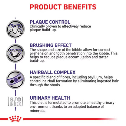 Royal Canin Veterinary Dental Dry Cat Food 1.5kg — product information image