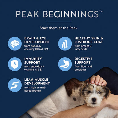 ZIWI Peak Chicken with Lamb Puppy Wet Food 170g product image 8