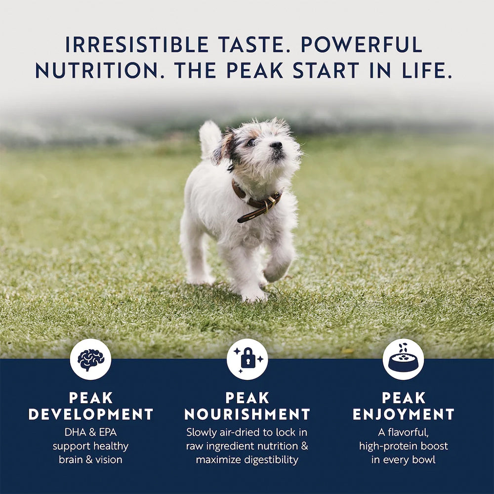 ZIWI Peak Chicken with Lamb Puppy Wet Food 170g product image 7