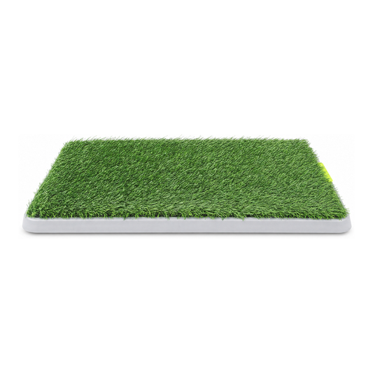 PAWISE Green Dog Trainer Toilet 68 x 42cm