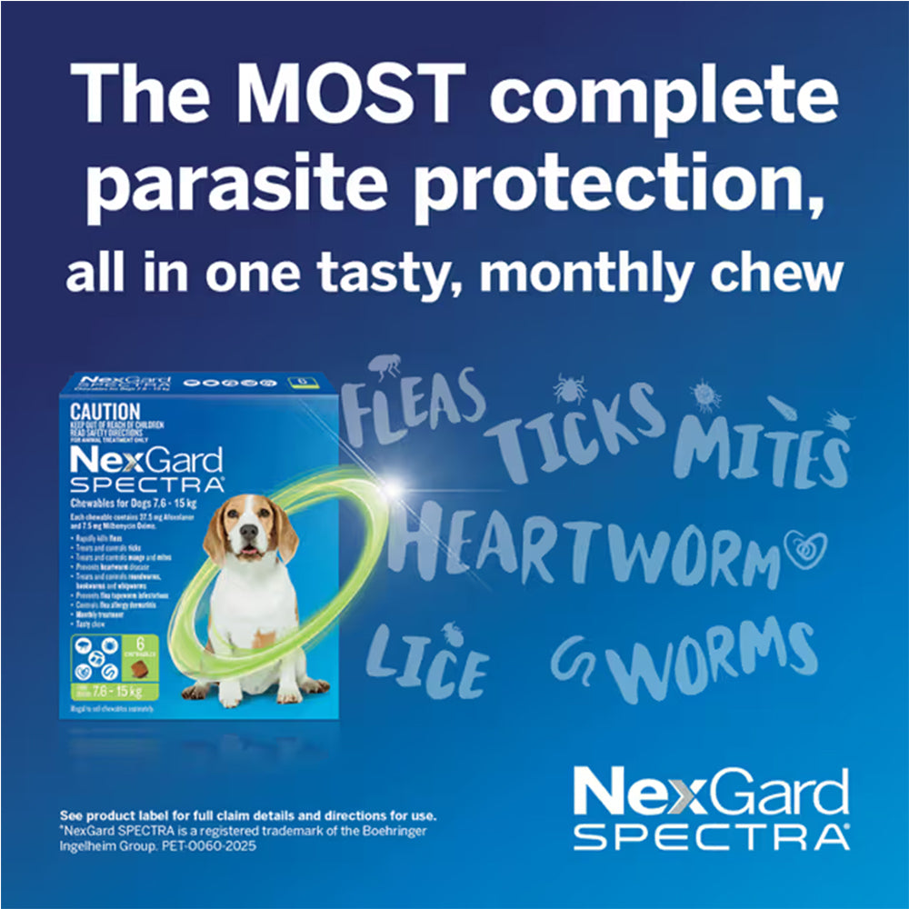 NexGard Spectra monthly parasite protection graphic