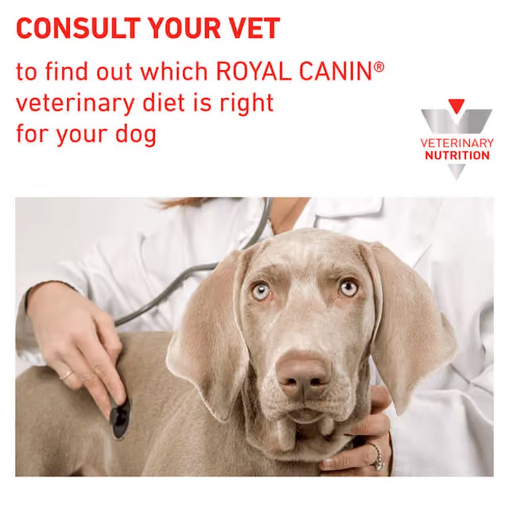 Royal Canin Veterinary Urinary S/O Dry Dog Food 2kg — product information image
