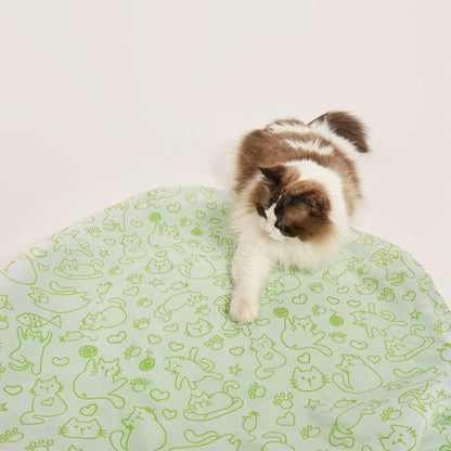 FOFOS Green Ball Hunting Cover Cat Toy