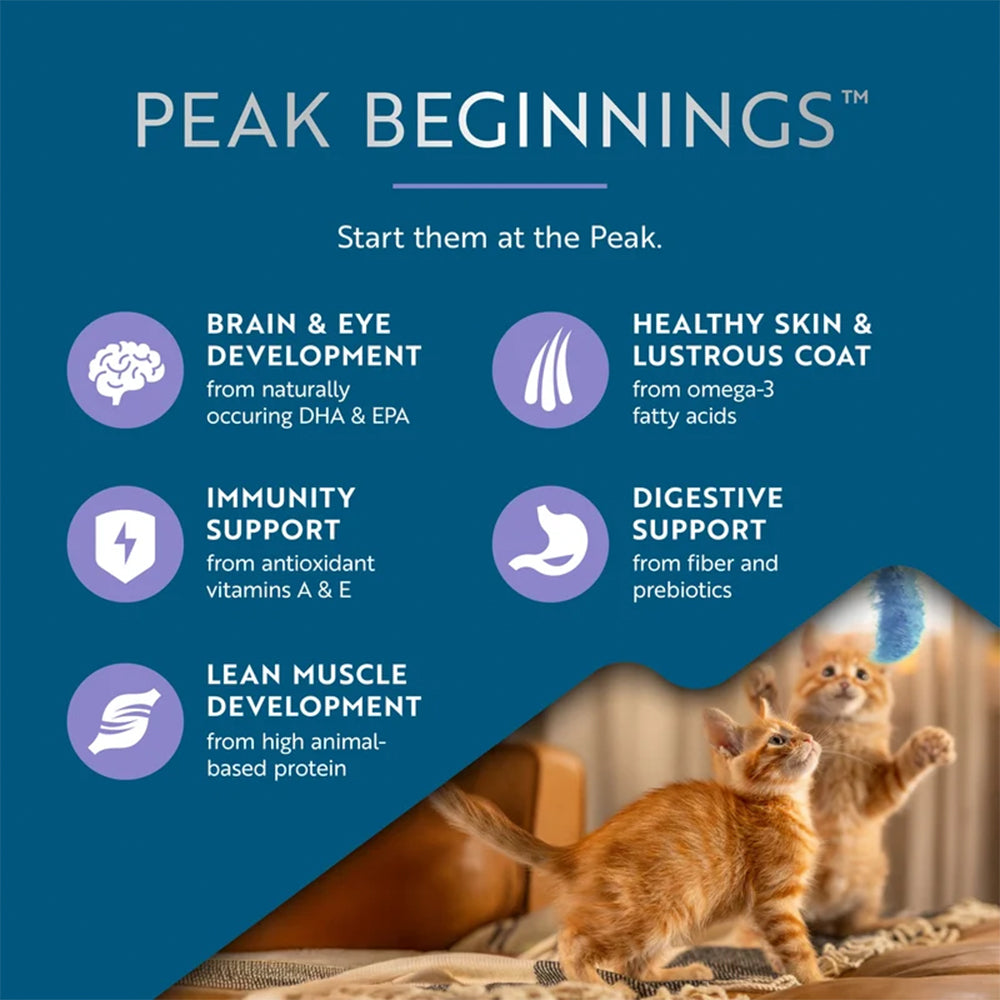 ZIWI Peak Chicken & Southern Blue Whiting Kitten Food 700g product image 2