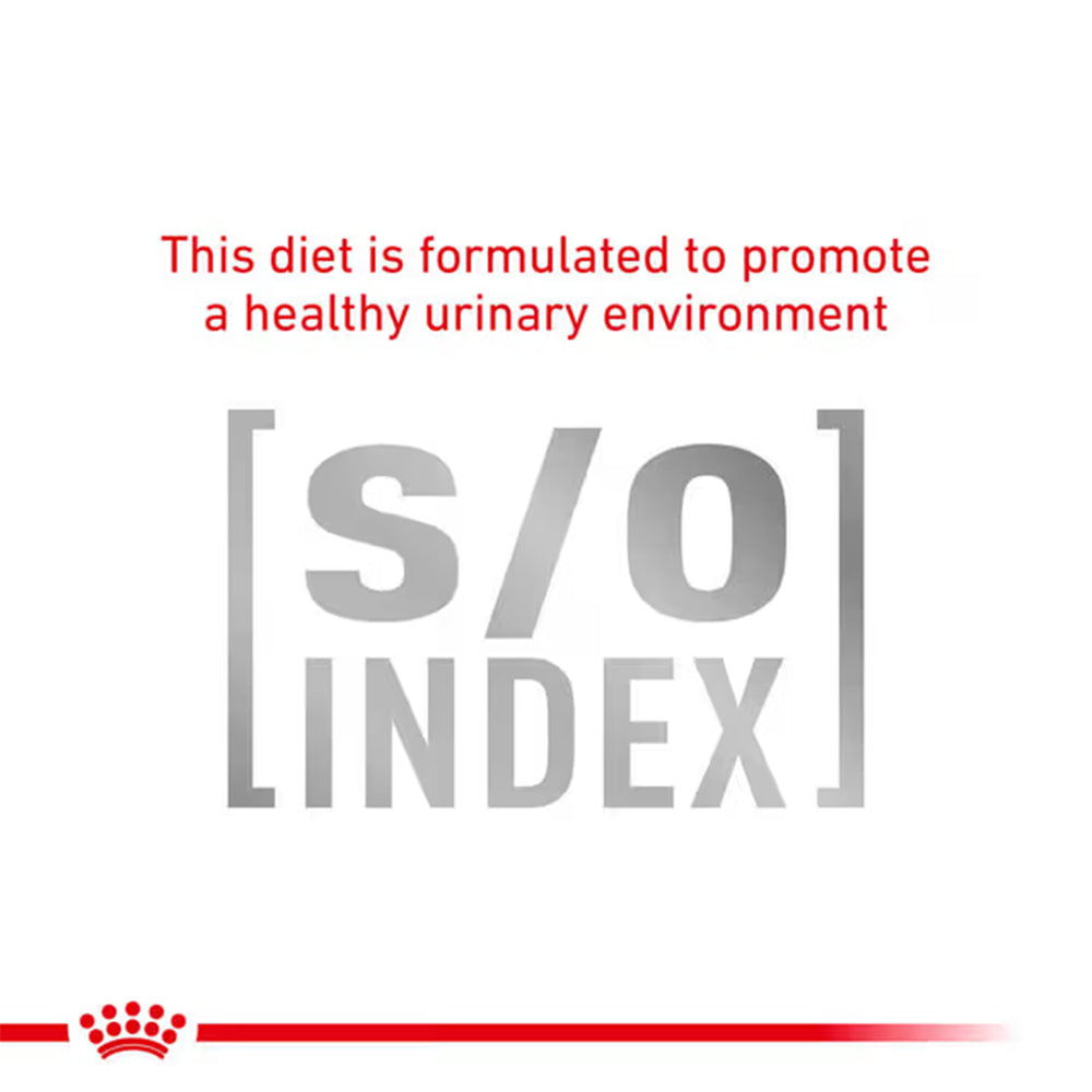 Royal Canin Veterinary Urinary S/O Wet Cat Food 85g — product information image