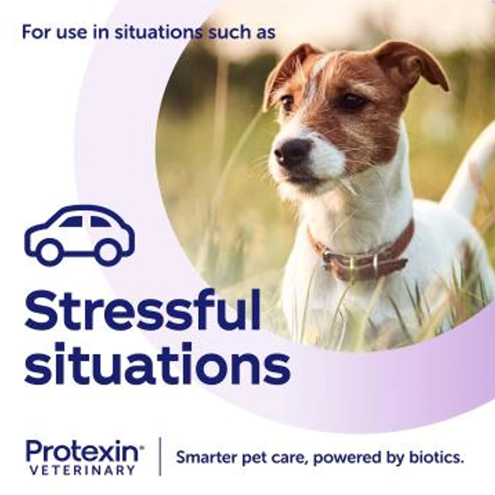 Protexin SereniCare calming support product information graphic
