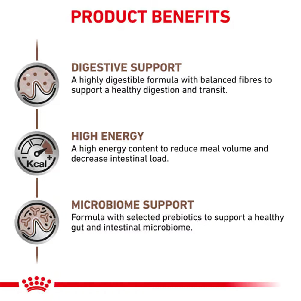 Royal Canin Gastrointestinal Adult Dry Dog Food 2kg — product information image