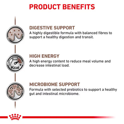 Royal Canin Gastrointestinal Adult Dry Dog Food 2kg — product information image
