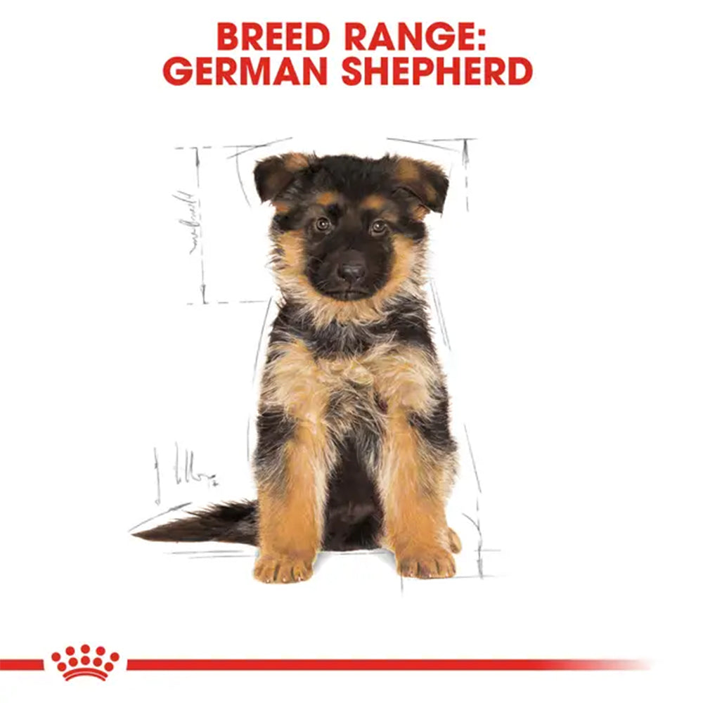 Royal Canin German Shepherd Puppy breed guide
