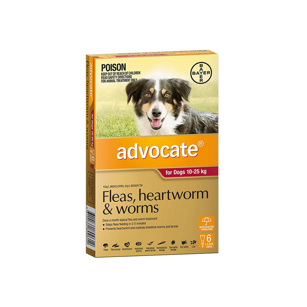 ADVOCATE Flea & Dewormer Treatment for Dogs (10-25kg) 6 Tubes
