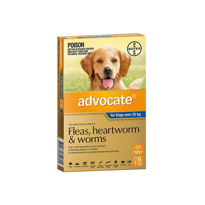 ADVOCATE Flea & Dewormer Treatment for Dogs (Over 25kg) 6 Tubes